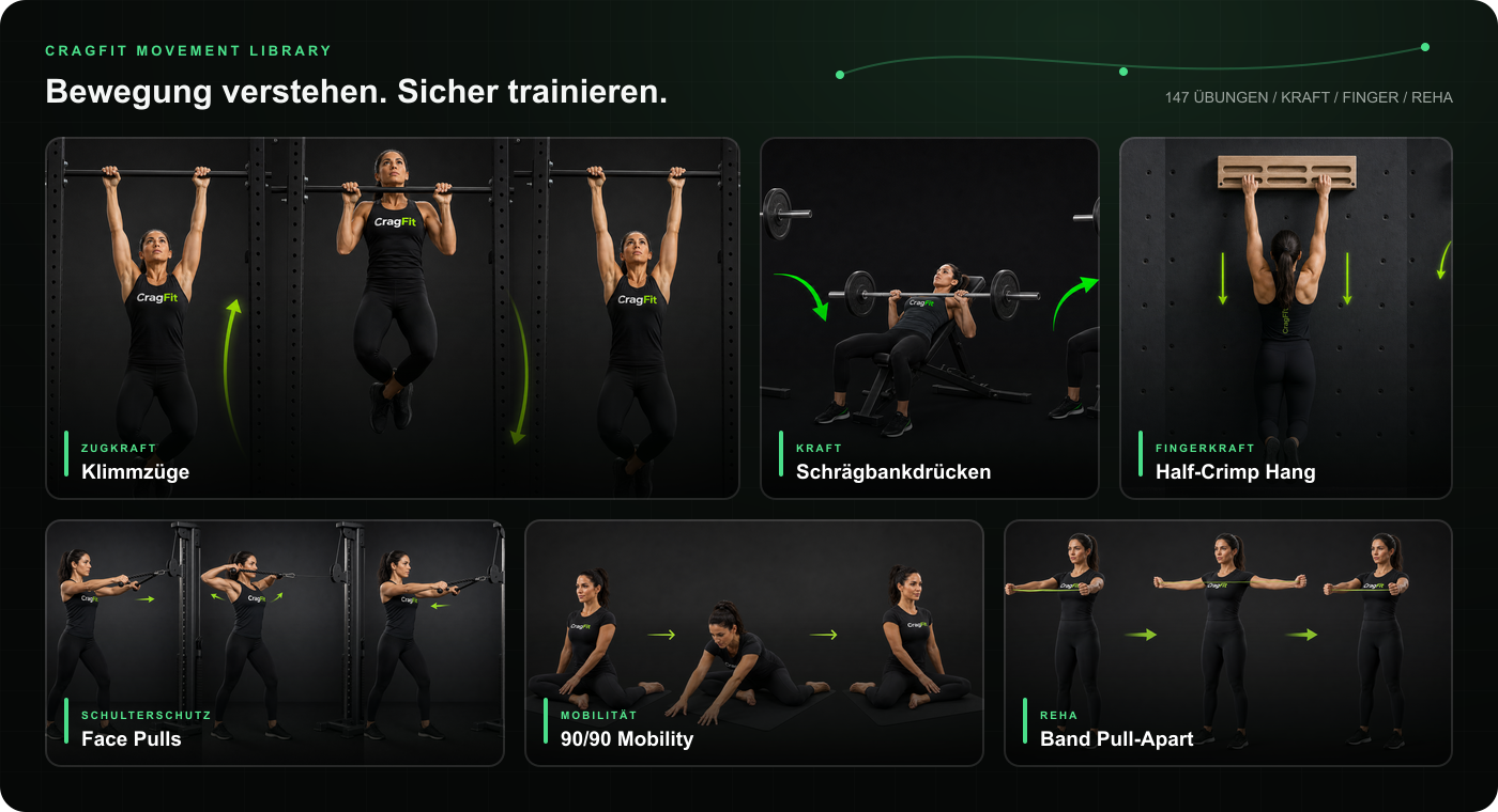 Collage aus sechs CragFit Übungsanleitungen mit Trainerin: Klimmzüge, Schrägbankdrücken, Half-Crimp Hang, Face Pulls, 90/90 Mobility und Band Pull-Apart